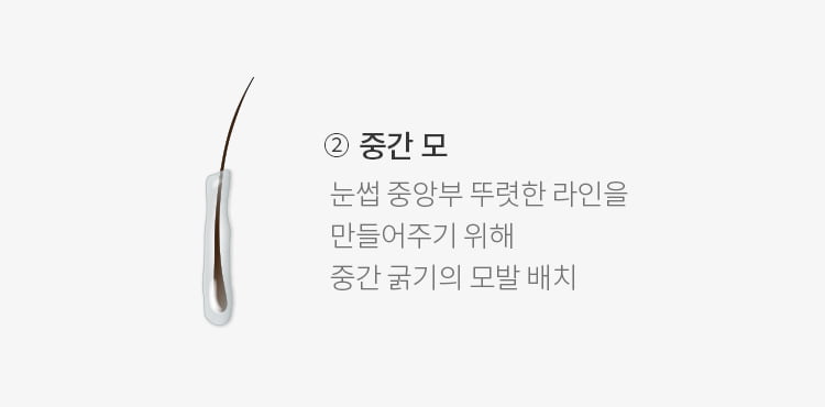 눈썹 중앙부 뚜렷한라인을 만들어주기 위한 중간 굵기의 중간 모의 그림