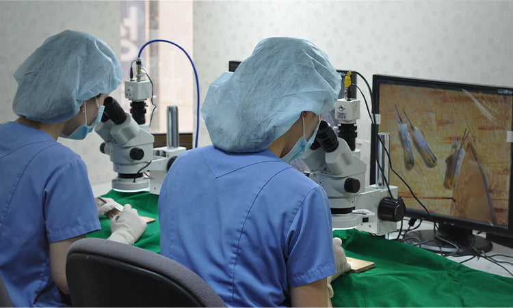 모낭을 분리하는 모낭분리사들