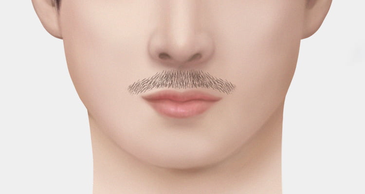 할리우드 스타일로 수염이식한 얼굴이 갸름하고 이목구비가 뚜렷한 남자의 사진