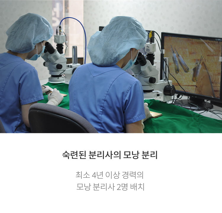 모낭을 분리하는 모낭분리사들