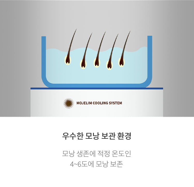 적절한 온도에 보관 중인 모낭들